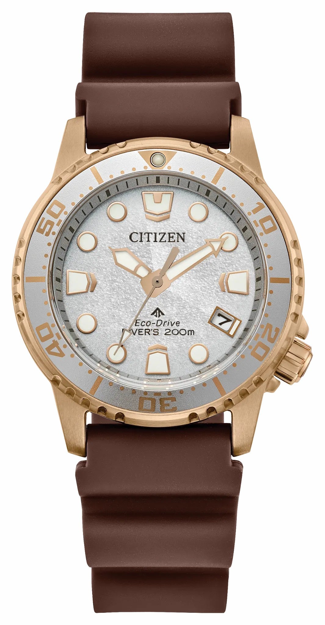 Citizen Essential - Promaster Dive Silver-Tone Dial Polyurethane Strap EO2022-02A